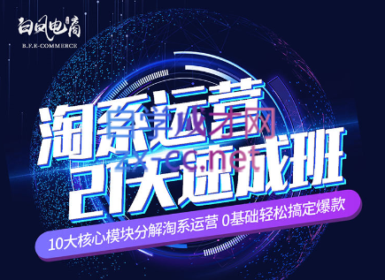 淘系运营21天速成班(更新24年5月)-Xiaobei云