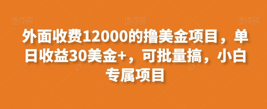 外面收费12000的撸美金项目，单日收益30美金+，可批量搞，小白专属项目-Xiaobei云