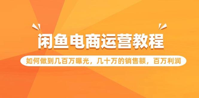 (9560期)闲鱼电商运营教程：如何做到几百万曝光，几十万的销售额，百万利润-Xiaobei云