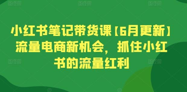 小红书笔记带货课【6月更新】流量电商新机会，抓住小红书的流量红利-Xiaobei云