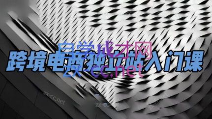 团长·跨境电商独立站入门课(2小时精华)-Xiaobei云