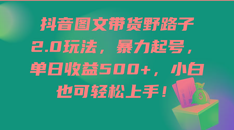 (9790期)抖音图文带货野路子2.0玩法，暴力起号，单日收益500+，小白也可轻松上手！-Xiaobei云