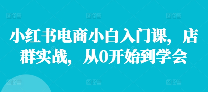 小红书电商小白入门课，店群实战，从0开始到学会-Xiaobei云