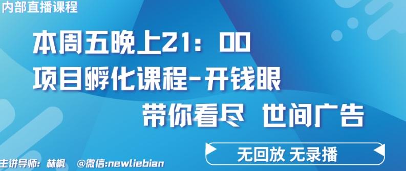 4.26日内部回放课程《项目孵化-开钱眼》赚钱的底层逻辑【揭秘】-Xiaobei云