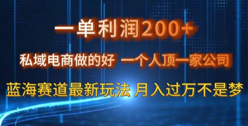 一单利润200私域电商做的好，一个人顶一家公司蓝海赛道最新玩法【揭秘】-Xiaobei云