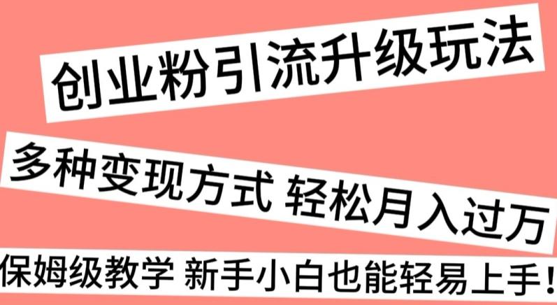 创业粉引流升级玩法，多种变现方式轻松月入过万，保姆级教学新手小白也能轻易上手！-Xiaobei云