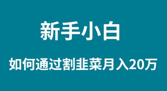 (9308期)新手小白如何通过割韭菜月入 20W-Xiaobei云