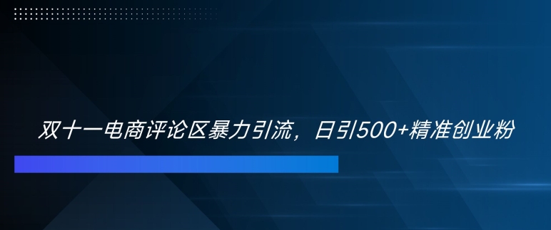 双十一电商评论区暴力引流，日引500+精准创业粉【揭秘】-Xiaobei云