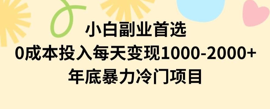 小白副业首选，0成本投入，每天变现1000-2000年底暴力冷门项目【揭秘】-Xiaobei云