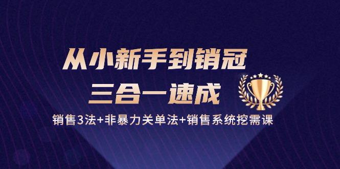 从小新手到销冠 三合一速成：销售3法+非暴力关单法+销售系统挖需课 (27节-Xiaobei云