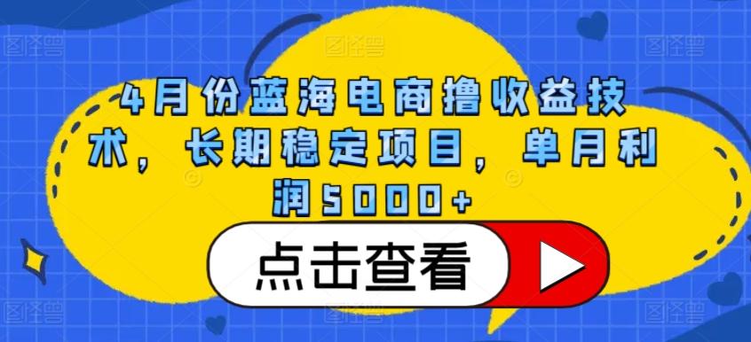 4月份蓝海电商撸收益技术，长期稳定项目，单月利润5000+【揭秘】-Xiaobei云