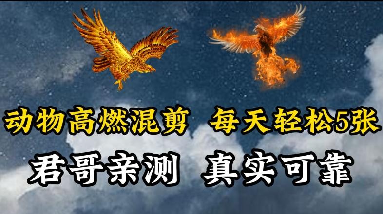 动物超燃混剪，每天轻松5张，剪辑简单大家爱看【揭秘】-Xiaobei云