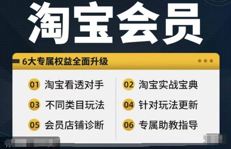 淘宝会员【淘宝所有课程，全面分析对手】，初级到高手全系实战宝典-Xiaobei云