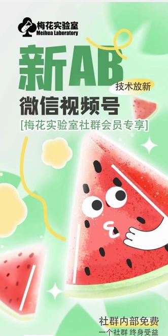 梅花实验室2024年AB技术视频号AB合成破解版-Xiaobei云