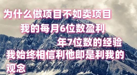 做项目不如卖项目，每月6位数盈利，年7位数经验-Xiaobei云