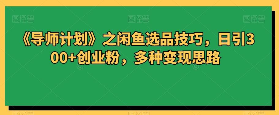 《导师计划》之闲鱼选品技巧，日引300+创业粉，多种变现思路-Xiaobei云