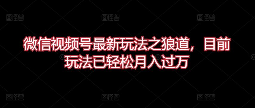 微信视频号最新玩法之狼道，目前玩法已轻松月入过万【揭秘】-Xiaobei云