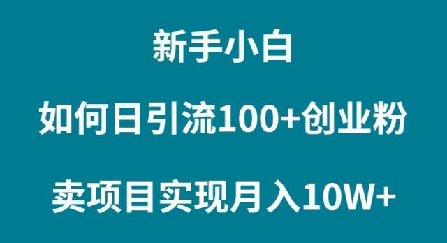 (9556期)新手小白如何通过卖项目实现月入10W+-Xiaobei云