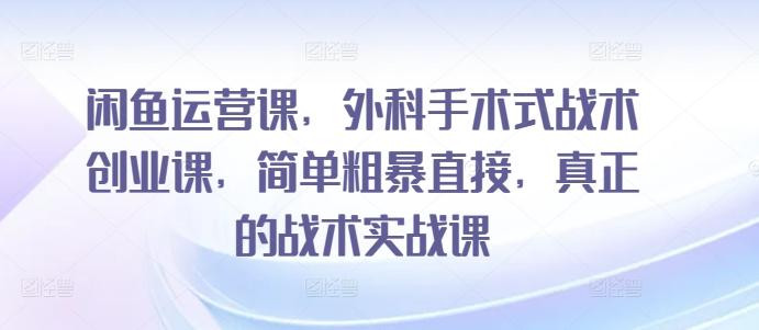闲鱼运营课，外科手术式战术创业课，简单粗暴直接，真正的战术实战课-Xiaobei云