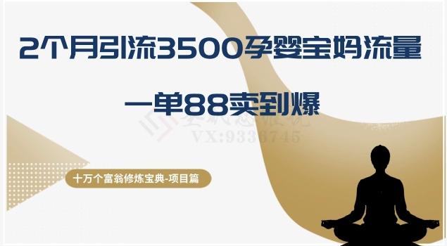 十万个富翁修炼宝典之13.2个月引流3500孕婴宝妈流量，一单88卖到爆-Xiaobei云