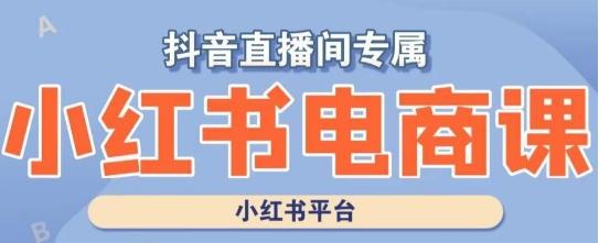 小红书电商高级运营课程，实操教学+案例分析-Xiaobei云