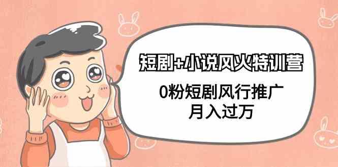 小说+短剧风火特训营，0粉短剧小说风行推广，实现月入过万-Xiaobei云