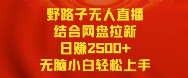野路子无人直播结合网盘拉新，日赚2500+，小白无脑轻松上手【揭秘】-Xiaobei云